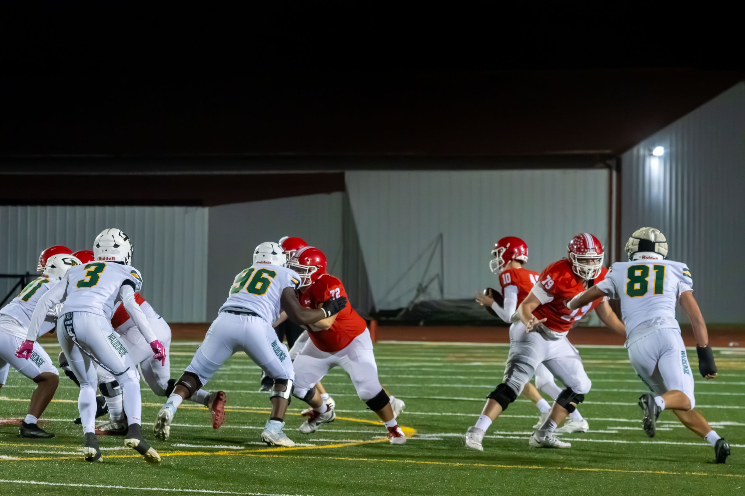 QB looks down the field for an opening before throwing the football.