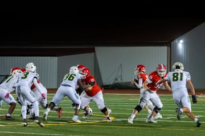 QB looks down the field for an opening before throwing the football.